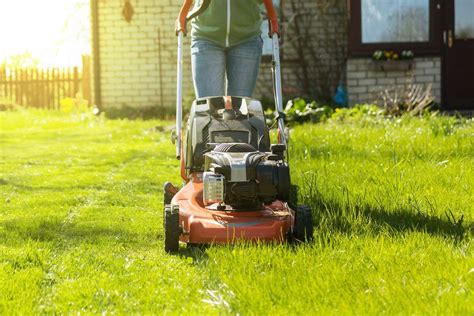 why is lawn care important storables
