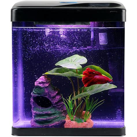 Betta Fish Tank Black 2 Gallon Small Glass Display Aquarium With 3 In 1