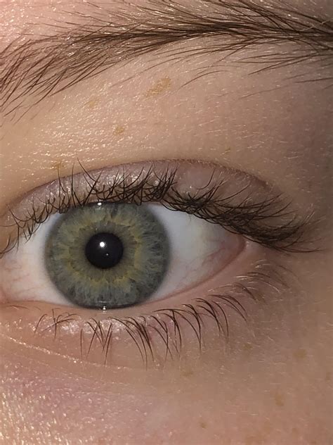 Anyone Know What My Eye Color Would Be Ive Gone As Green Blue But