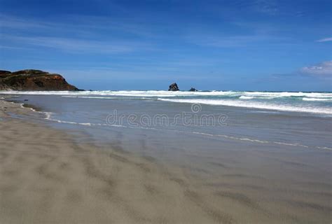 Sandfly Bay On Otago Peninsula New Zealand Stock Image Image Of Landscape Nature