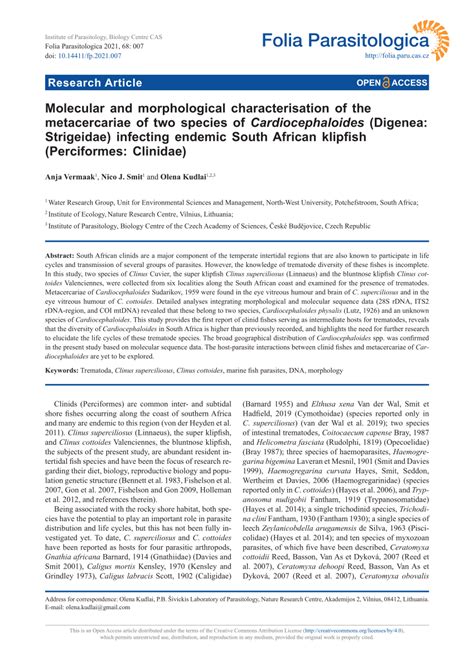 Pdf Molecular And Morphological Characterisation Of The Metacercariae
