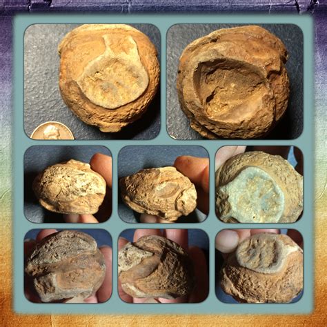 Please Help Identify These Missouri Fossilsor Geofacts
