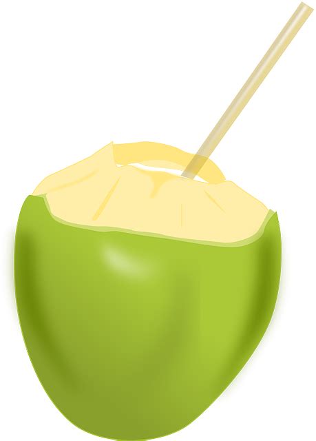 Kokosnoot Fruit Drank Gratis Vectorafbeelding Op Pixabay Pixabay