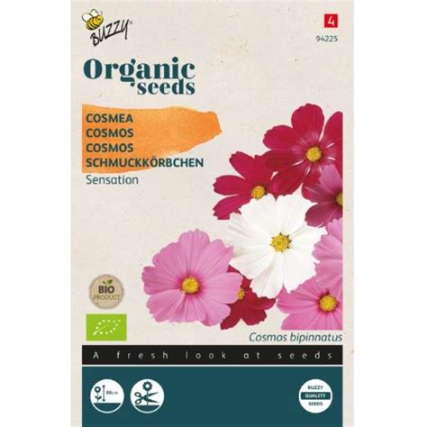 Cosmos Sensation Mix Organic Seeds Irish Plants Direct