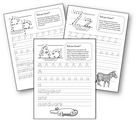 level 4 handwriting pages upper and lowercase the measured mom