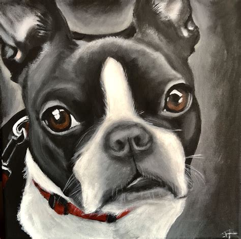 Boston Terrier Names Boston Terriers Griffons Hamel Work With