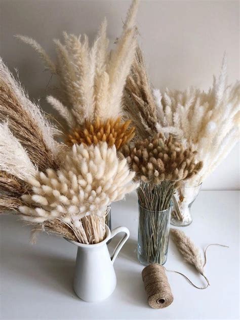 Pampas Grass Bar Of Dried Grasses Complete 4 Types Set White Etsy
