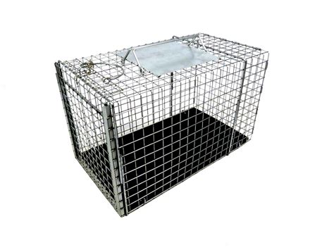 Feral cat populations can grow to unhealthy and dangerous proportions if not regulated. Traps :: Feral Cat Traps & Accessories :: Feral Cat Trap ...