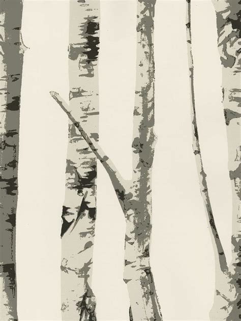 48 White Birch Tree Wallpaper Wallpapersafari