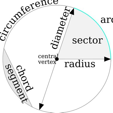 Parts Of The Circle By Xsapien Parts Of The Circle Diagram On