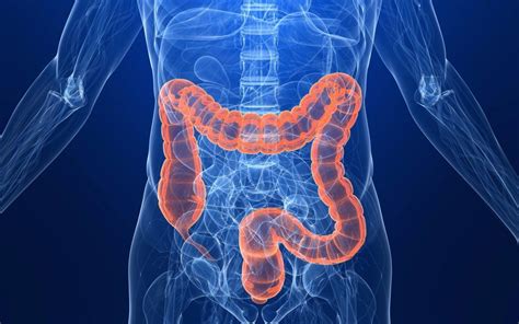 For other uses, see colon. Healthy Living: New guidelines say to get your colon checked around age 45