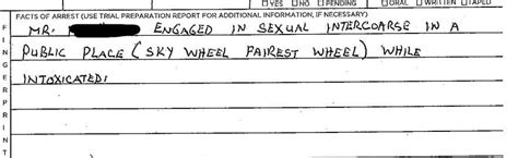 From The Criminal Complaint Of That Couple Arrested After Having Sex On The “fairest Wheel” R