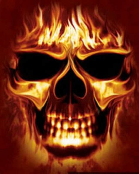 Cool Skull Skull Wallpaper Skull Fire Skull