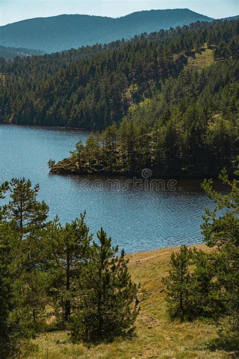 Lake On Zlatibor Mountain Stock Photo Image Of Nature 21384028