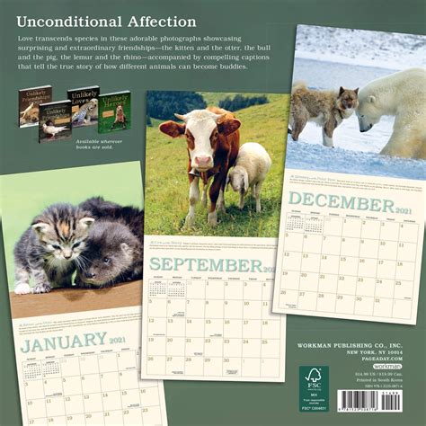 2021 Unlikely Friendships Wall Calendar Angus And Robertson