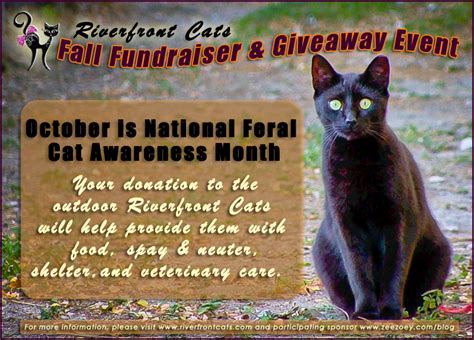Feral Cat Month Fall Fundraiser And Giveaway Event To Help Riverfront