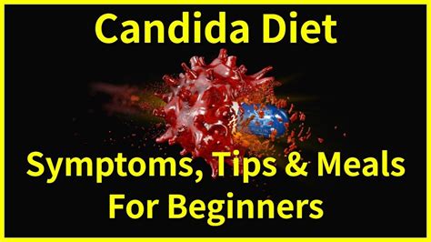 The Candida Diet Complete Info And Diet Plans Youtube