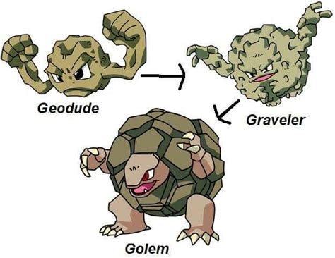 Geodude Evolution Evolução Pokemon Pokemon Evolução