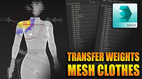 Second Life Understand Rigging And Skinning For Mesh Bodies Maitreya