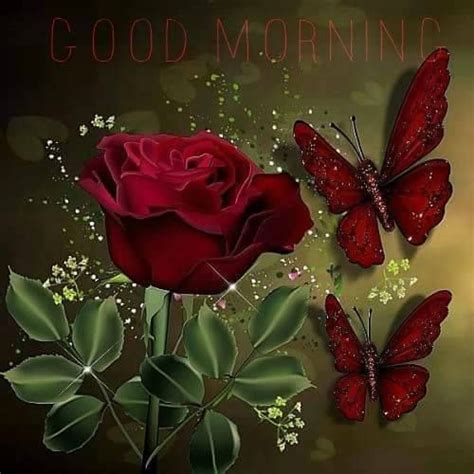 Red Butterfly Rose Good Morning Image Pictures Photos And Images For