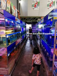 Kedai akuarium pak teh, kuala lumpur, malaysia. Kuconteng Diari: Review Xian Long Aquatic Sdn Bhd, Kedai ...
