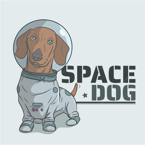 Premium Vector Dachshund Dog And Space Suit Vector Illustration