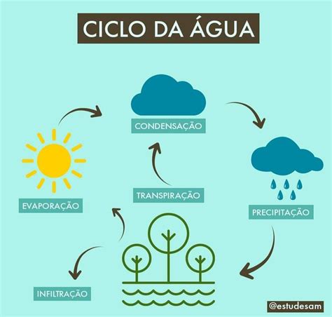 Ciclos Biogeoquímicos Ciclo Da Água Em 2020 Ciclo Da água