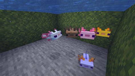 A Lotl Axolotls V162 Minecraft Texture Pack