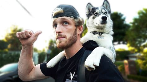 Logan Paul Dog Husky Logan Paul Pets Celebrity Pets Dawn Parent