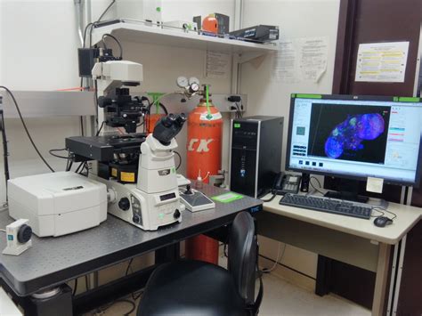 Nikon A1 Si Single Photon Confocal Microscope Biology Imaging
