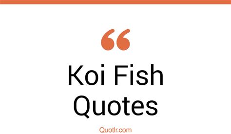 2 Koi Fish Quotes To Inspire You In Life