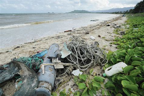 Plastic Marine Debris On Hawaiis Windward Coasts Comes Mostly From