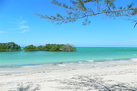 Plenty of tanzania beach hotels provide accommodation options for visiting beach enthusiasts. The 4 most beautiful beaches of Tanzania