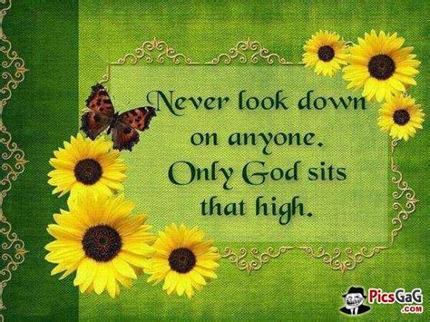 Now who has changed its mind. Old And Wise Sayings Quotes. QuotesGram
