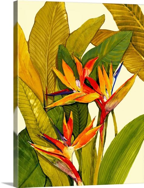 Tropical Bird Of Paradise Wall Art Canvas Prints Framed Prints Wall