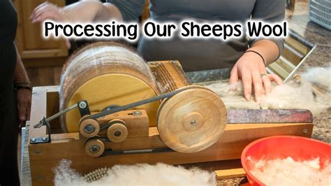 Processing Our Own Wool Youtube Wool Spinning Wool Wool Thread