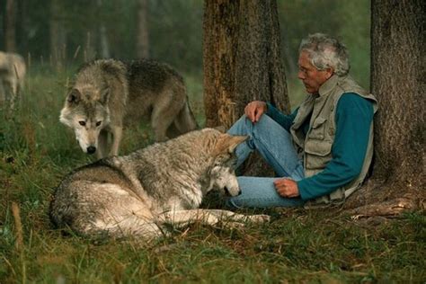 This Couple Lived With Wolves For 6 Years In The Wilderness Their