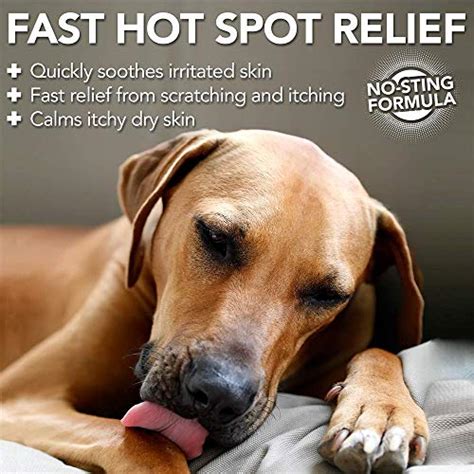 Vets Best Dog Hot Spot Itch Relief Spray Relieves Dog Dry Skin Rash
