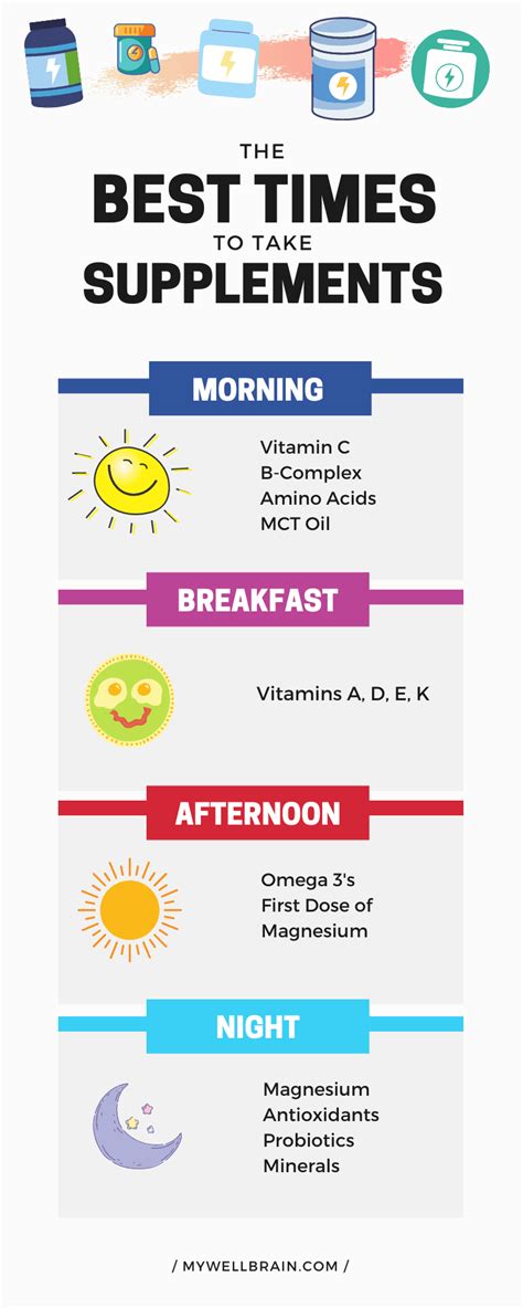 Best Times To Take Supplements Infographic Mywellbrain Com