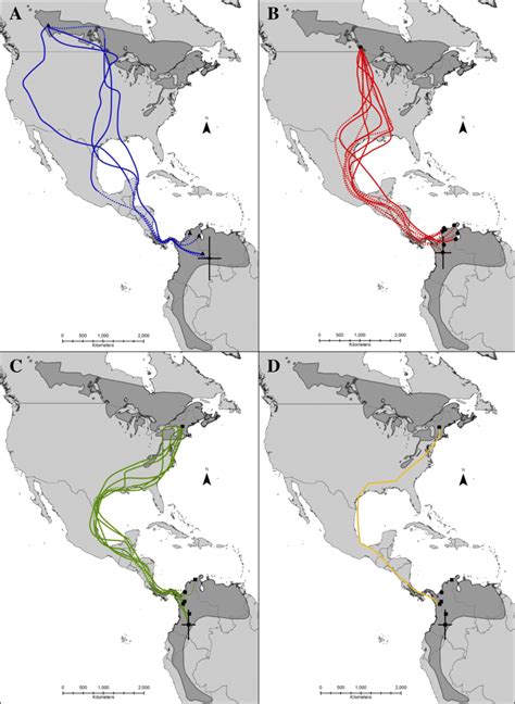 Estimated Migration Routes For Male Canada Warblers Tracked From Three