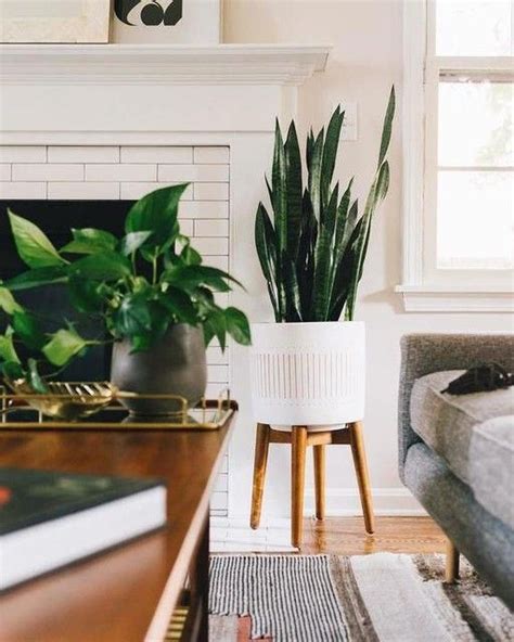 Some indoor house plants are better for air purifying than other indoor plants. Mid-Century Turned Wood Leg Planters - White & Gold in ...