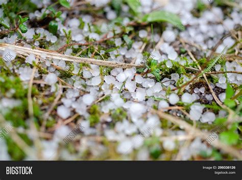 Close Image Hailstones Image And Photo Free Trial Bigstock