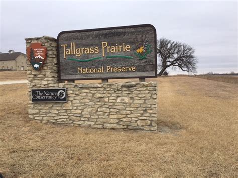 Tallgrass Prairie National Preserve Steve Jones Great Blue Heron