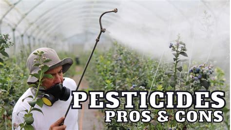 Pros And Cons Pesticides In Farming Youtube