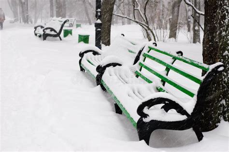 Benches In The Winter Park Stock Image Image Of Weather 9115389