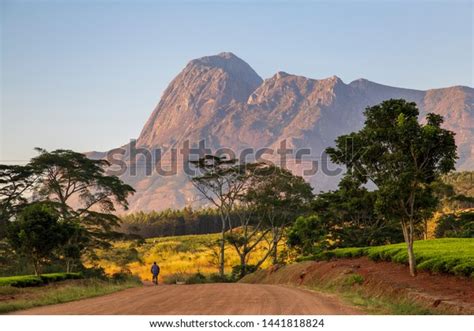 Mulanje Massif Mountain Malawi Stock Photo 1441818824 Shutterstock