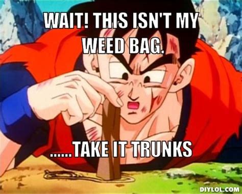 Upvote your favorites and make them reach the top. Image - Silly-gohan-meme-generator-wait-this-isn-t-my-weed-bag-take-it-trunks-0b0451.jpg | Ultra ...