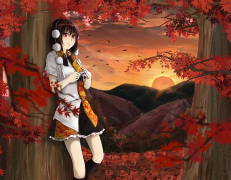 Safebooru Autumn Leaves Black Hair Blush Camera Cibo Killy Hat Red Eyes Shameimaru Aya Short