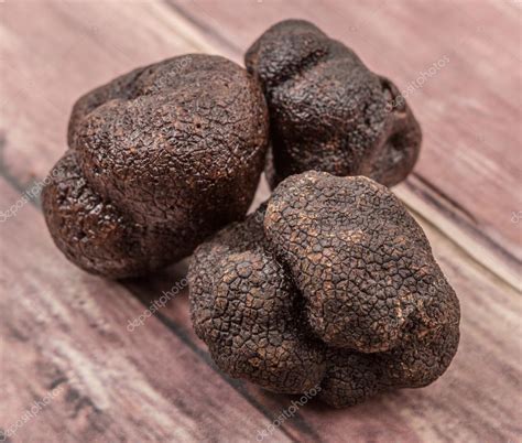 Black Truffle Mushroom — Stock Photo © Akulamatiau 99875450