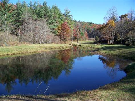 Each cabin is situated on their own 5 acre lot offering complete privacy. Gallery - Cross Creek Cabins | Log Cabin Rentals in ...